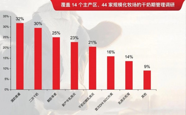 卓唯安®上市｜攻克高产奶牛干奶难题，打造无抗干奶新方案