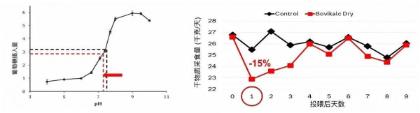卓唯安®上市｜攻克高产奶牛干奶难题，打造无抗干奶新方案