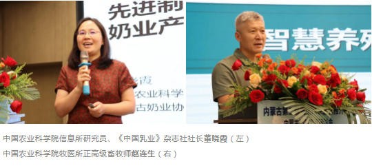 内蒙古奶酪好 好奶酪在内蒙古