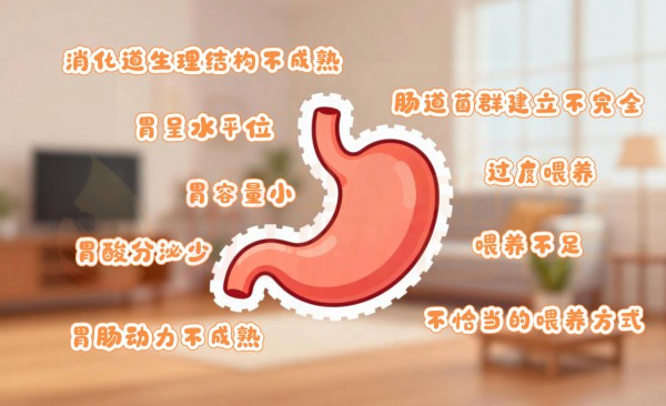 独家！宝宝不长肉/玻璃胃/体质弱？3张奶粉清单对号入座，直接抄！