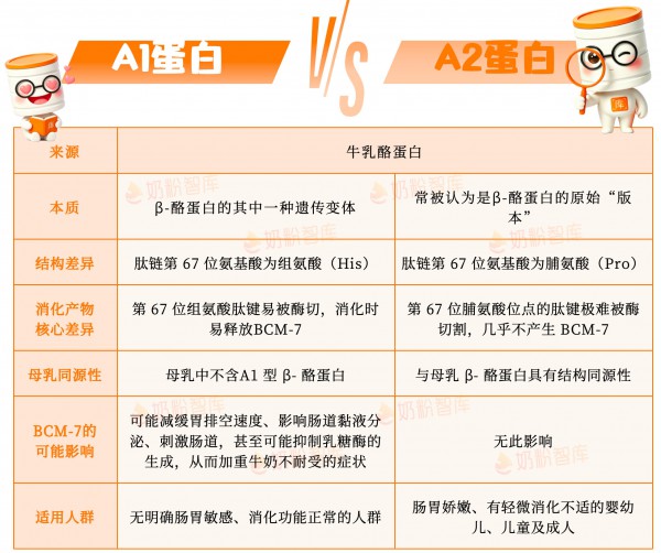 新发现！A2蛋白不只更亲和，竟还能这样助力消化吸收！
