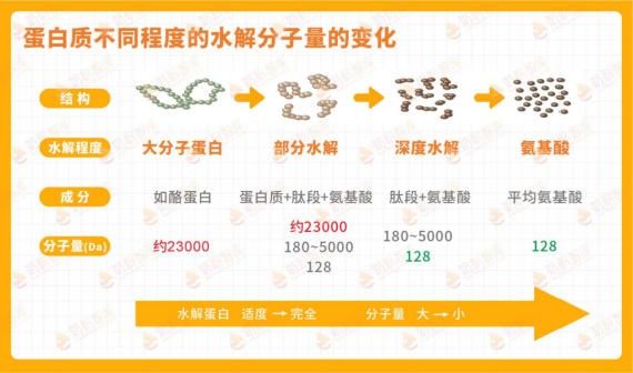 营养新趋势！HMO、小分子、高乳清蛋白、MLCT、α+β，你知道多少？