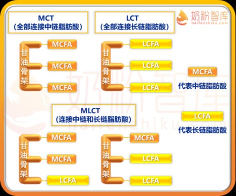 营养新趋势！HMO、小分子、高乳清蛋白、MLCT、α+β，你知道多少？