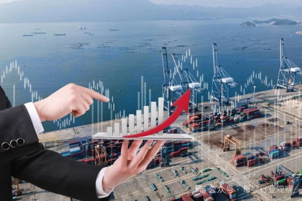 出口超55亿！泉州何以成为中国卫品出海的“桥头堡”？