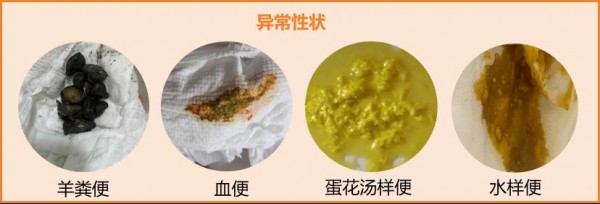 宝宝一天便便几次才正常？性状、颜色、次数…5步炼成“鉴屎官”！