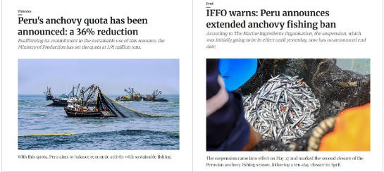 鱼油断供潮下的“PlanB”：磷虾油与藻油如何成为Omega-3赛道的稳健答案？