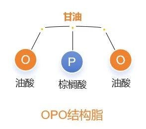 OPO作用大！三代OPO、专利OPO、乳源OPO...都是啥？