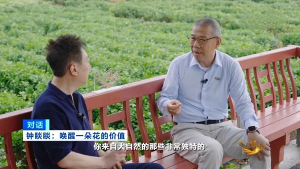 今天的平台，到底是科技企业，还是最大的中间商？
