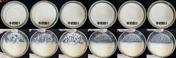 《本草纲目》记载、现代科学实证：羊奶凭什么成为体弱宝宝的“温养”口粮？