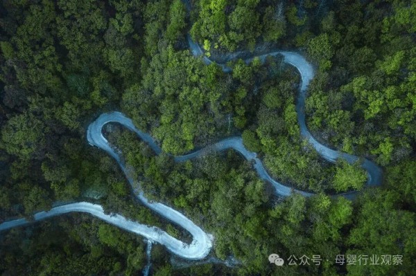 欧盟PPWR+EPR新规重磅落地，中国卫品出海彻底变天？