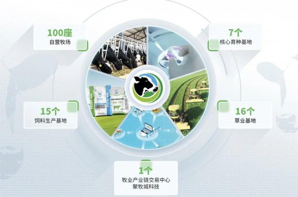 买买买！伊利、澳亚、贝因美……到底在抢什么？