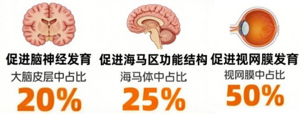 全球超70%人群DHA摄入不足！缺它不只会变笨！