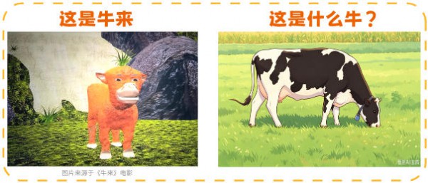 A2牛来、娟姗牛来、荷斯坦牛来、水牛来…《牛来》到底是哪个品种？