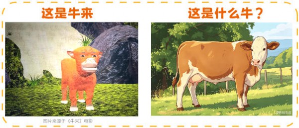 A2牛来、娟姗牛来、荷斯坦牛来、水牛来…《牛来》到底是哪个品种？
