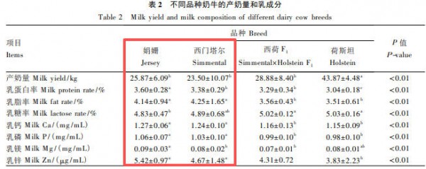 A2牛来、娟姗牛来、荷斯坦牛来、水牛来…《牛来》到底是哪个品种？