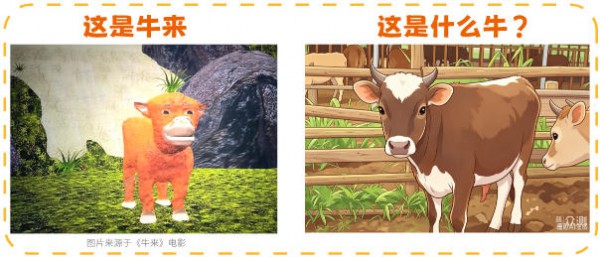 A2牛来、娟姗牛来、荷斯坦牛来、水牛来…《牛来》到底是哪个品种？
