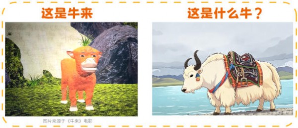A2牛来、娟姗牛来、荷斯坦牛来、水牛来…《牛来》到底是哪个品种？