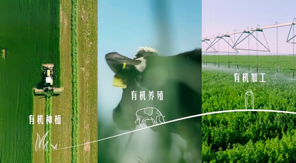 448亿营收背后：一家乳业龙头的ESG深耕样本