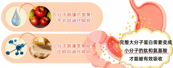 小分子蛋白奶粉怎么选？看水解乳清蛋白、α-乳白蛋白、CPP…含金量大PK！