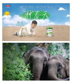 伊利再次荣获“中华慈善奖”：一份国家级认可背后的长期主义答卷