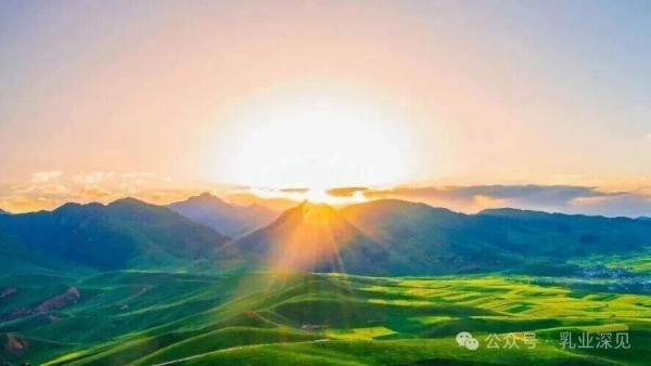 达能、雀巢、飞鹤扎堆入局，特配粉凭什么跑出5.2%的逆势增速？