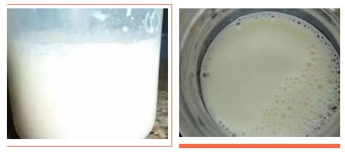 挂壁、结块、溶解差、泡沫多等7大问题，90%与奶粉质量无关，原因在这里！
