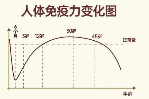 乳铁蛋白补多久有效？1个月？2个月？还是...