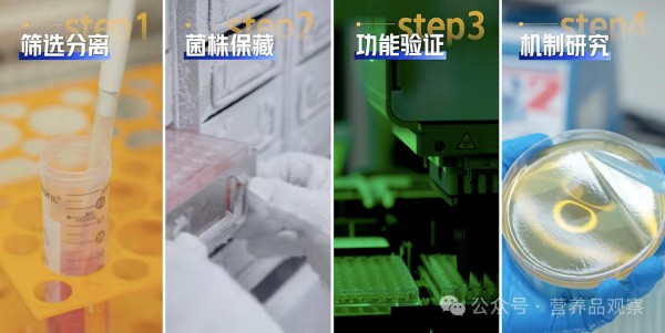 精准营养时代，蒙牛Lc19菌株17年攻坚交出长期主义答卷