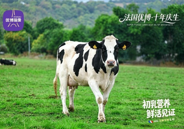溯源法国布列塔尼，直击卡莱工厂十周年，优博瑞霂以自主供应链牢铸信任基石！