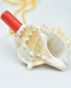 纯天然海滩扁刺海螺口哨哨子