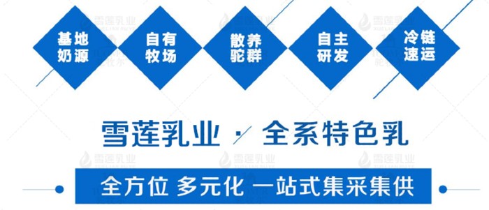 雪莲乳业1.jpg