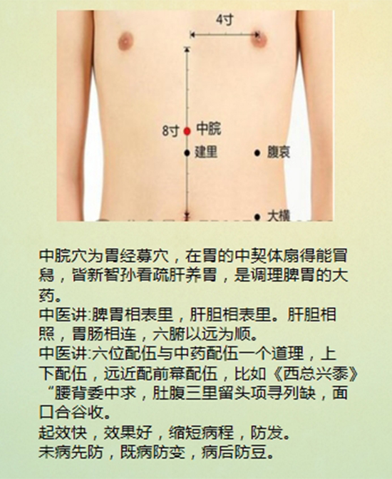 \"阁草缘丁香健胃保健贴,产品编号118478\"/