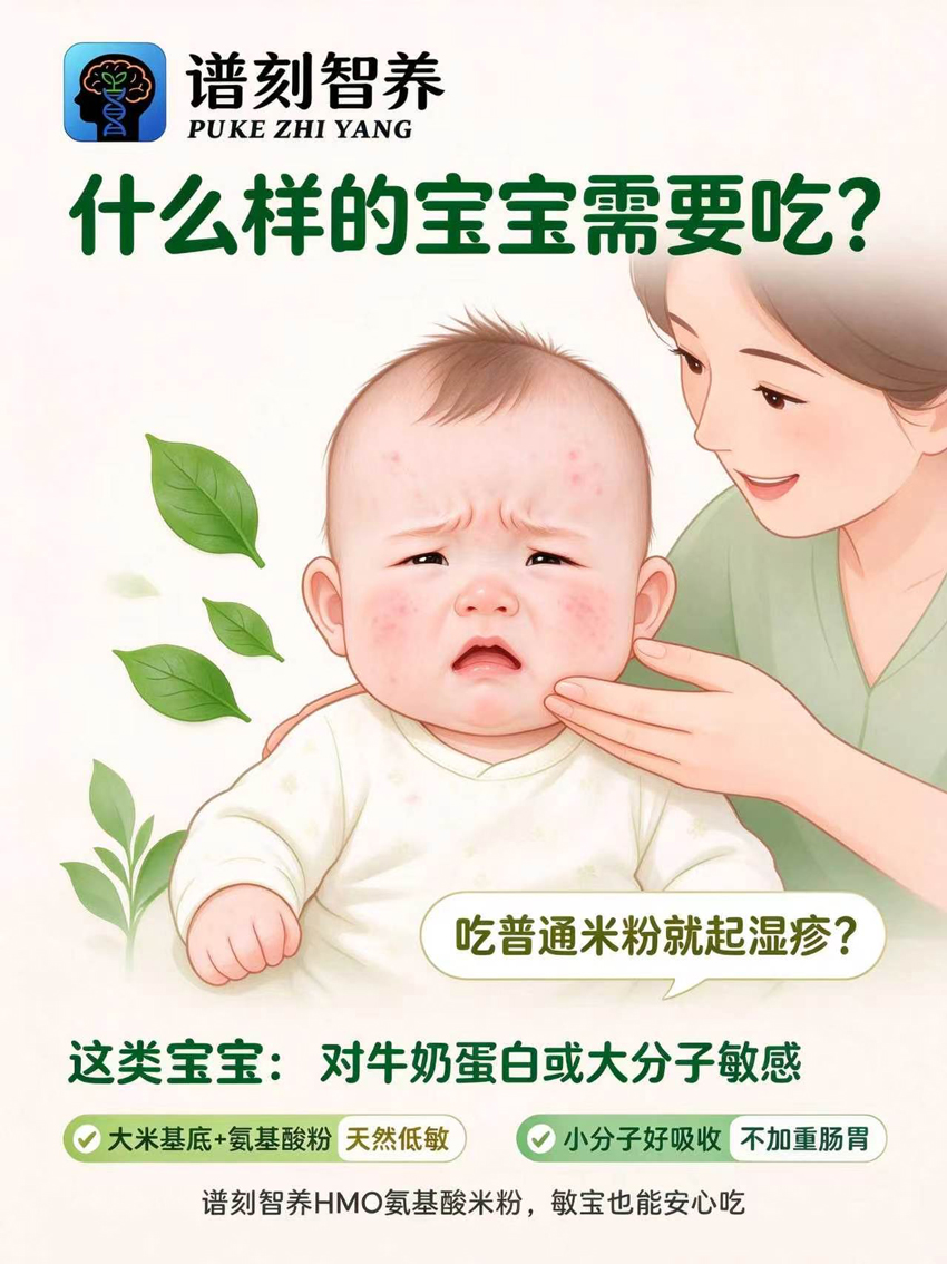 \"谱刻智养HMO氨基酸婴幼儿营养米粉,产品编号120235\"/