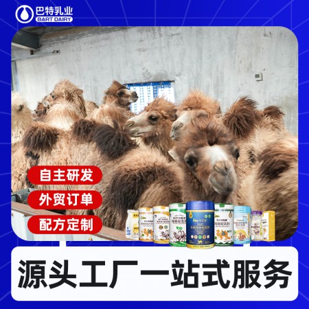 纯骆驼奶代加工批发 驼奶原材料工厂