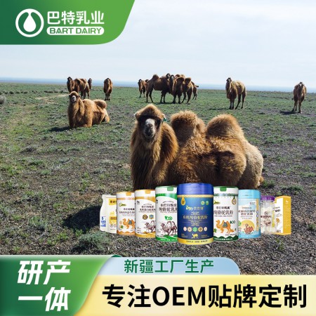 纯骆驼奶贴牌代工品牌 纯驼奶粉加盟代理厂家