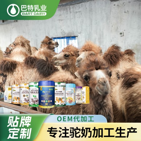 骆驼奶代工供应商 纯驼奶粉批发代理地址