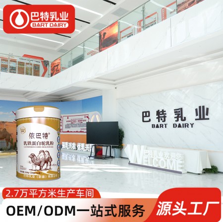骆驼奶原材料供应批发 纯骆驼奶专卖店批发