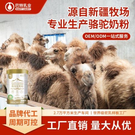 驼乳粉原材料品牌 驼奶专卖店招商
