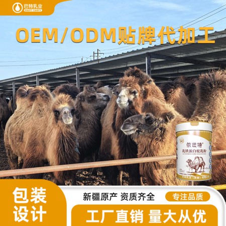 纯驼奶原材料供应商 纯骆驼奶粉原料批发价格