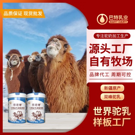 驼奶原料工厂直供 骆驼奶原材料多钱