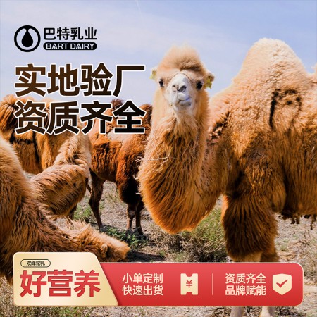 驼奶原料生产厂家 纯骆驼奶粉代工批发